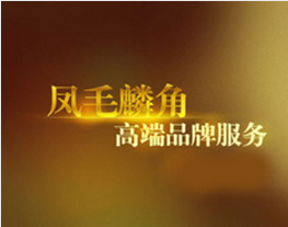 “VI应用推广小组”正式成立